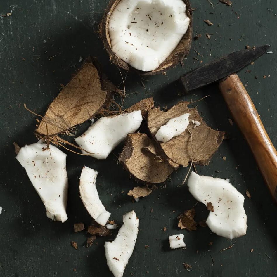 Coconut shell broken into pieces