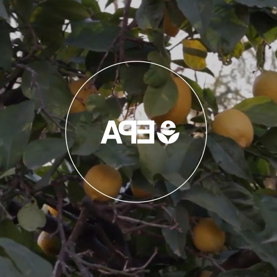 EPA Logo on a background of an orange tree