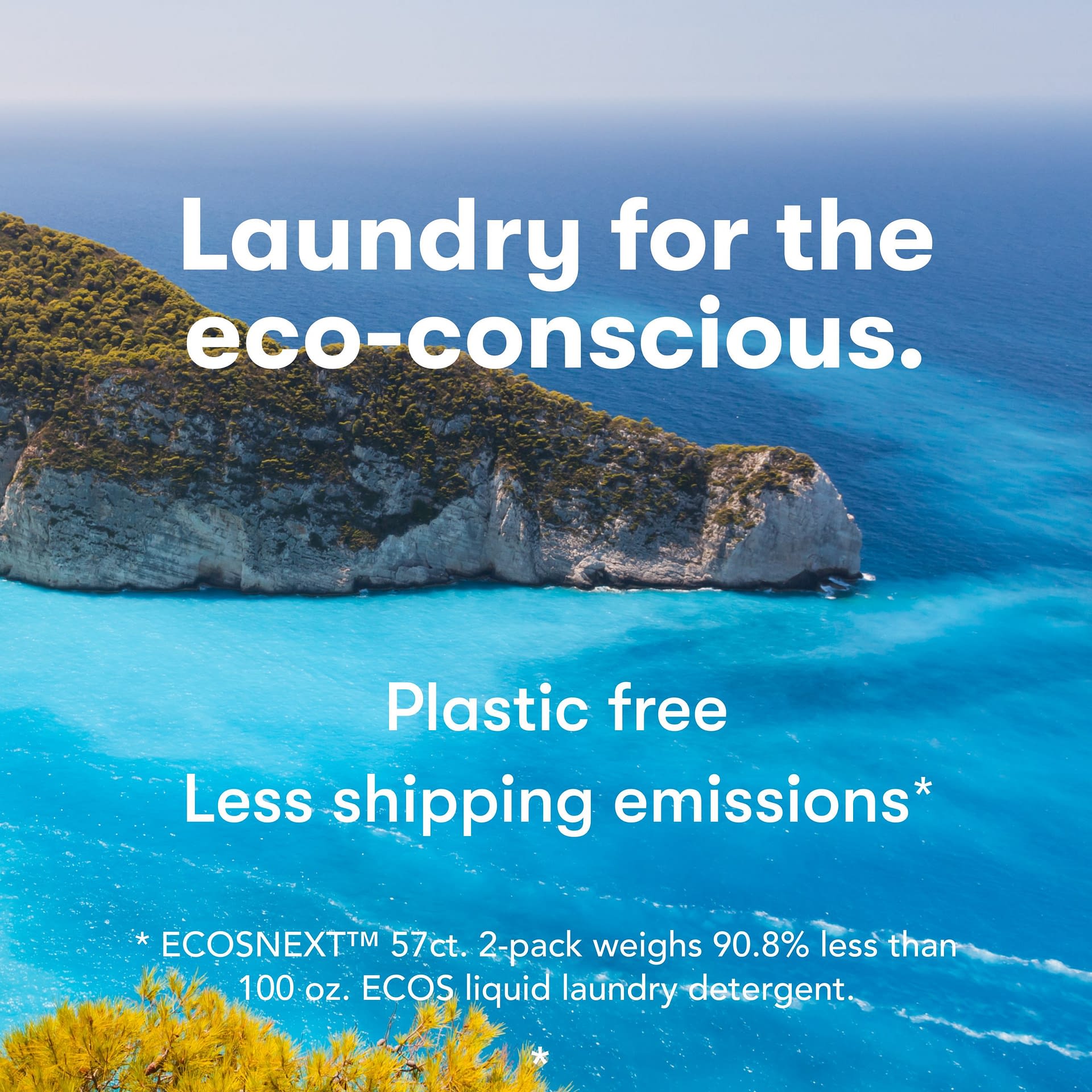 Laundry Detergent Sheets Sustainable Laundry Detergent ECOS®