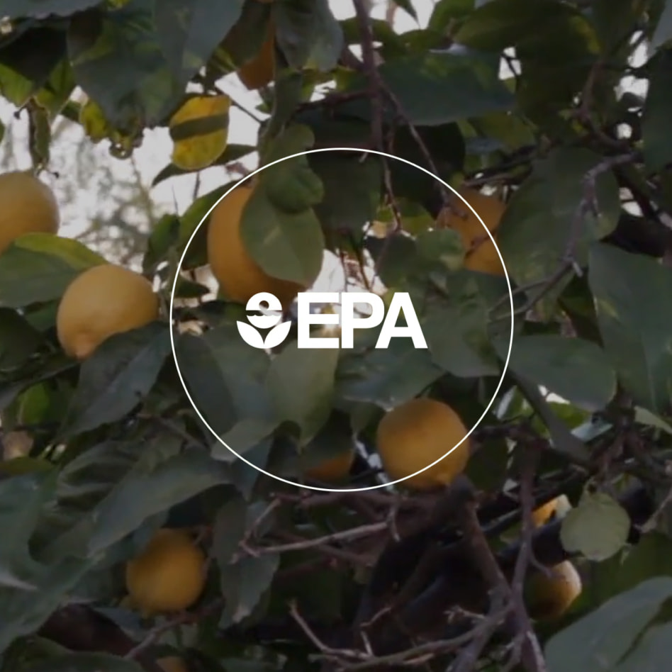 EPA Logo on a background of an orange tree